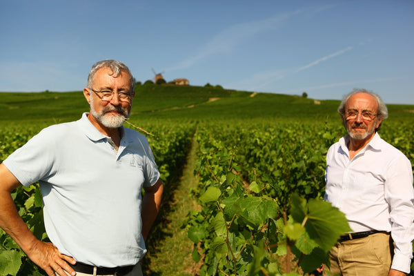 Champagne A.Chauvet, Tours-sur-Marne, Montagne de Reims