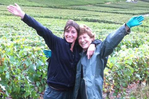 Champagne Marion-Bosser, Hautvillers, Vallée de la Marne