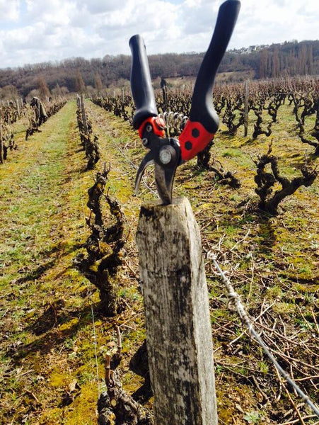 Domaine Le Capitaine, Vouvray
