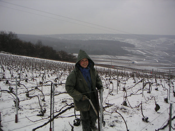 Champagne Marion-Bosser, Hautvillers, Vallée de la Marne