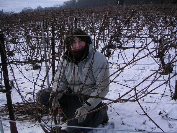 Champagne Marion-Bosser, Hautvillers, Vallée de la Marne