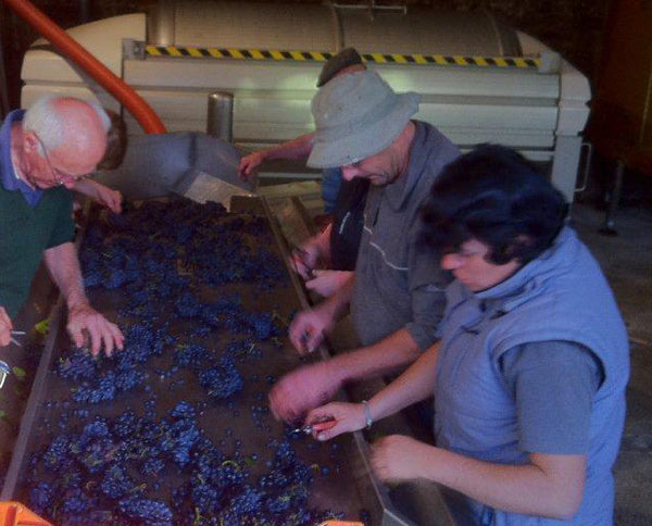 Domaine Bonnardot, Hautes Côtes de Nuits, Côte d'Or