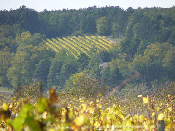 Domaine des Chambris, Hautes Côtes de Nuits, Côte d'Or