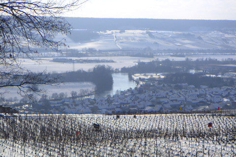 Champagne Marion-Bosser, Hautvillers, Vallée de la Marne