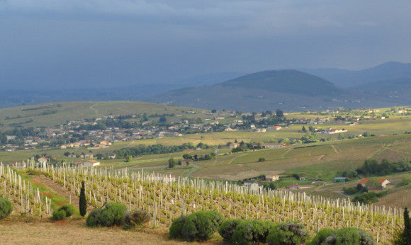 Aliane, Fleurie "La Madone"