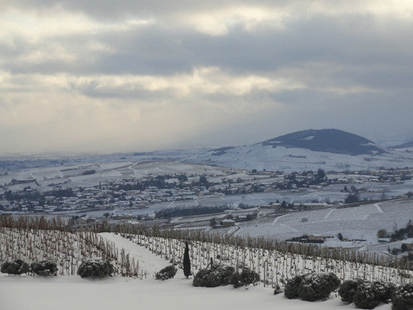Aliane, Fleurie "La Madone"