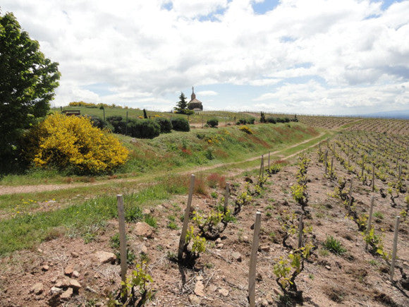 Aliane, Fleurie "La Madone"