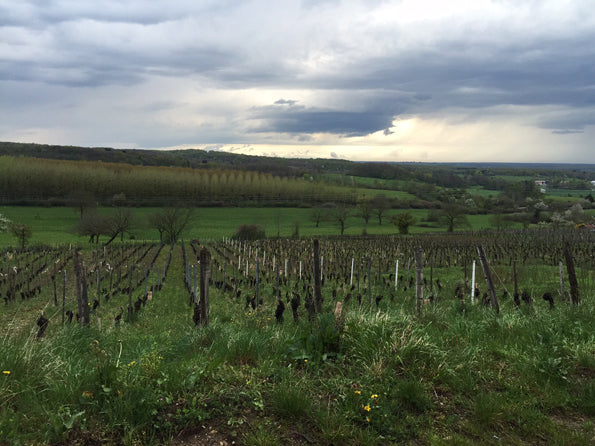 Xavier Reverchon / Poligny, Jura